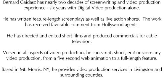 I have done this for a while - nearly two decades.  I can write, shoot, edit and score your video product - from a 5 second web animation to a full length feature.  Based in Mt. Morris, NY - video for Livingston and surrounding counties.
